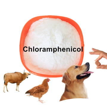 Fornecer cápsulas de cloranfenicol de antibióticos para a pele